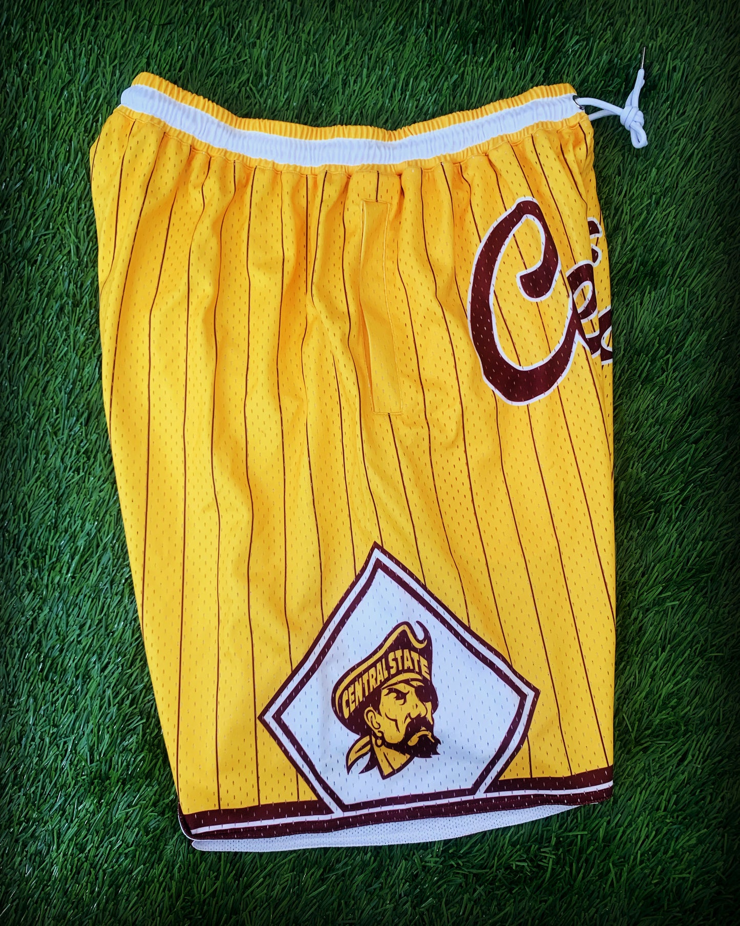 Central State University (CSU) Basketball Shorts - Gold Pinstripe